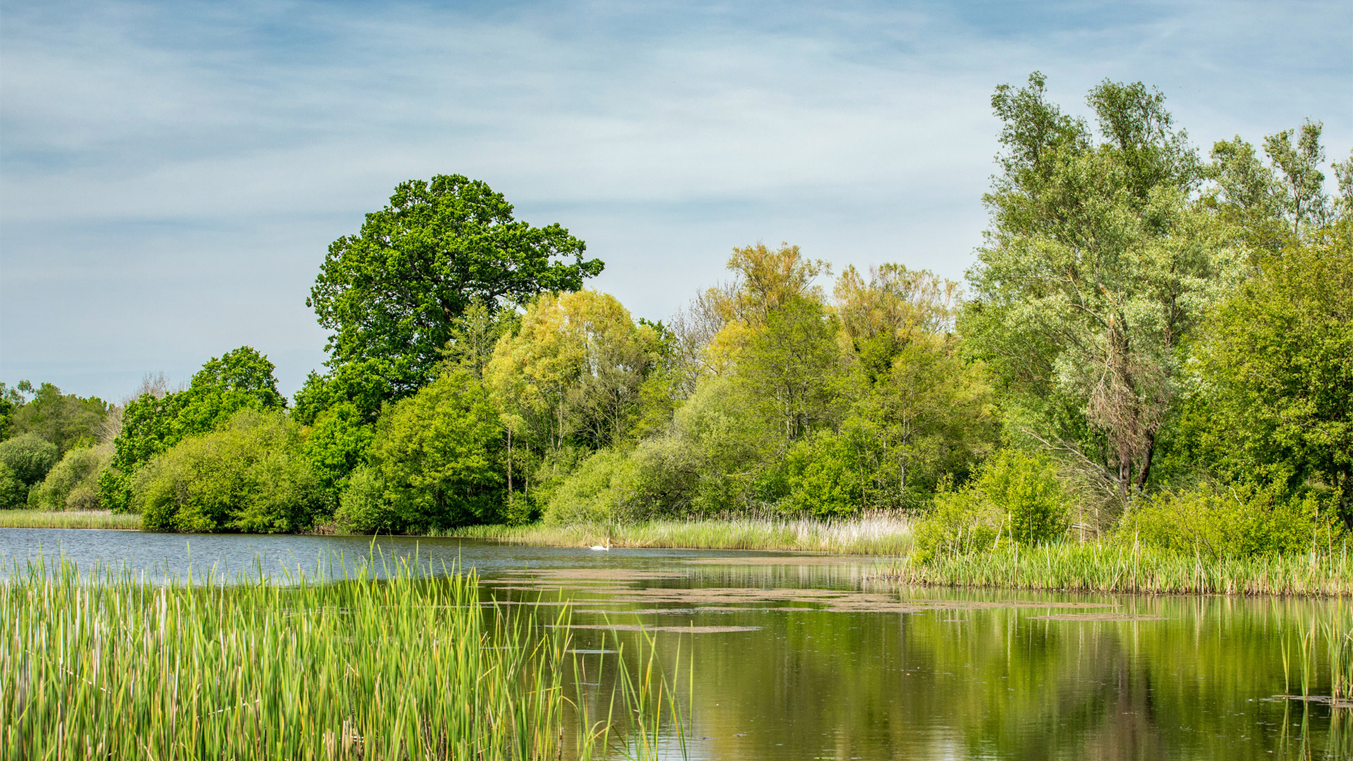 New Homes Fordingbridge Oakwood Grove, New Forest Hampshire | Pennyfarthing Homes