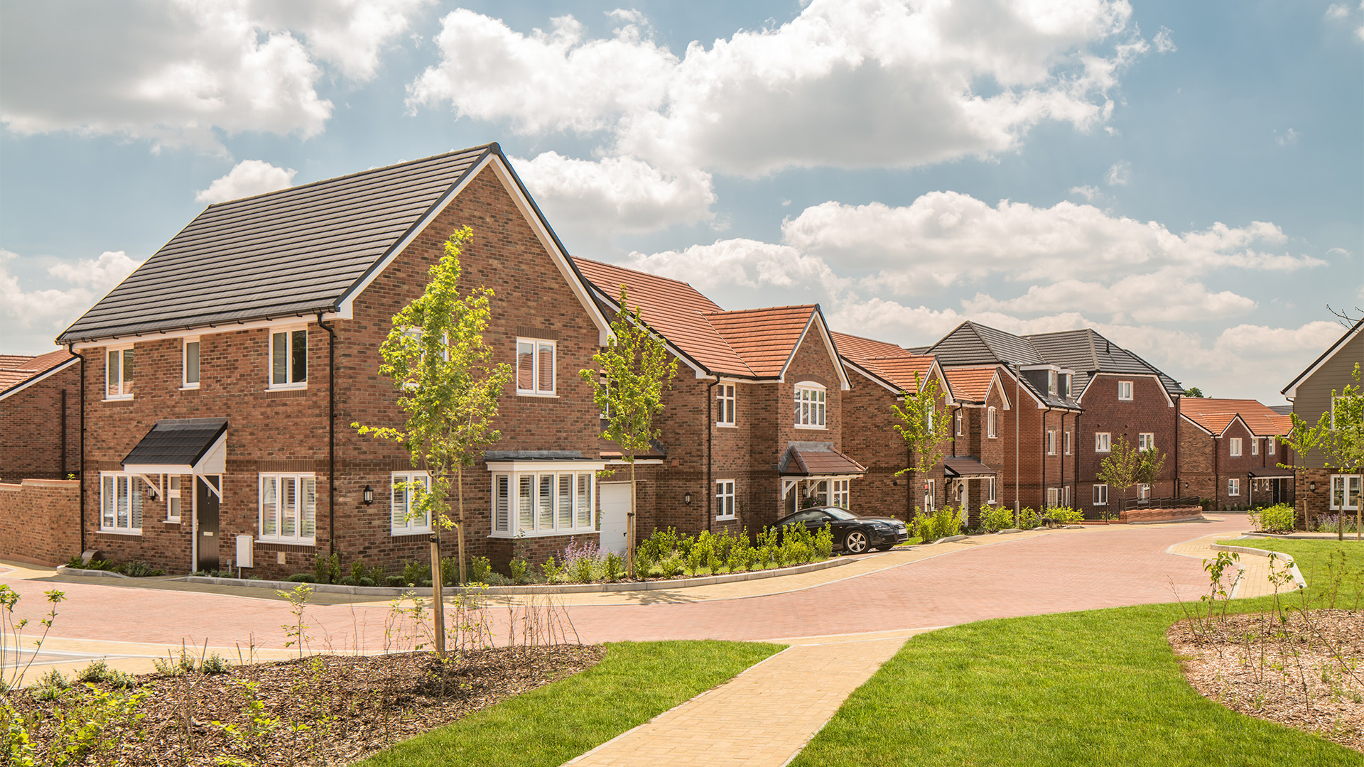 Picture ofPotters Wood